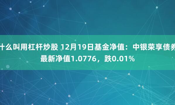 什么叫用杠杆炒股 12月19日基金净值：中银荣享债券最新净值1.0776，跌0.01%