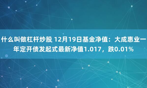 什么叫做杠杆炒股 12月19日基金净值：大成惠业一年定开债发起式最新净值1.017，跌0.01%