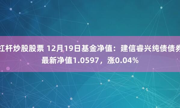 杠杆炒股股票 12月19日基金净值：建信睿兴纯债债券最新净值1.0597，涨0.04%