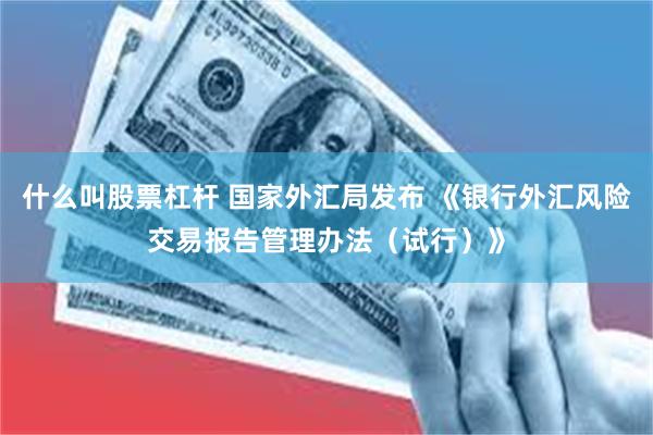 什么叫股票杠杆 国家外汇局发布 《银行外汇风险交易报告管理办法（试行）》