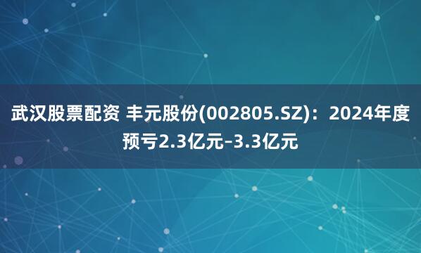 武汉股票配资 丰元股份(002805.SZ)：2024年度预亏2.3亿元–3.3亿元